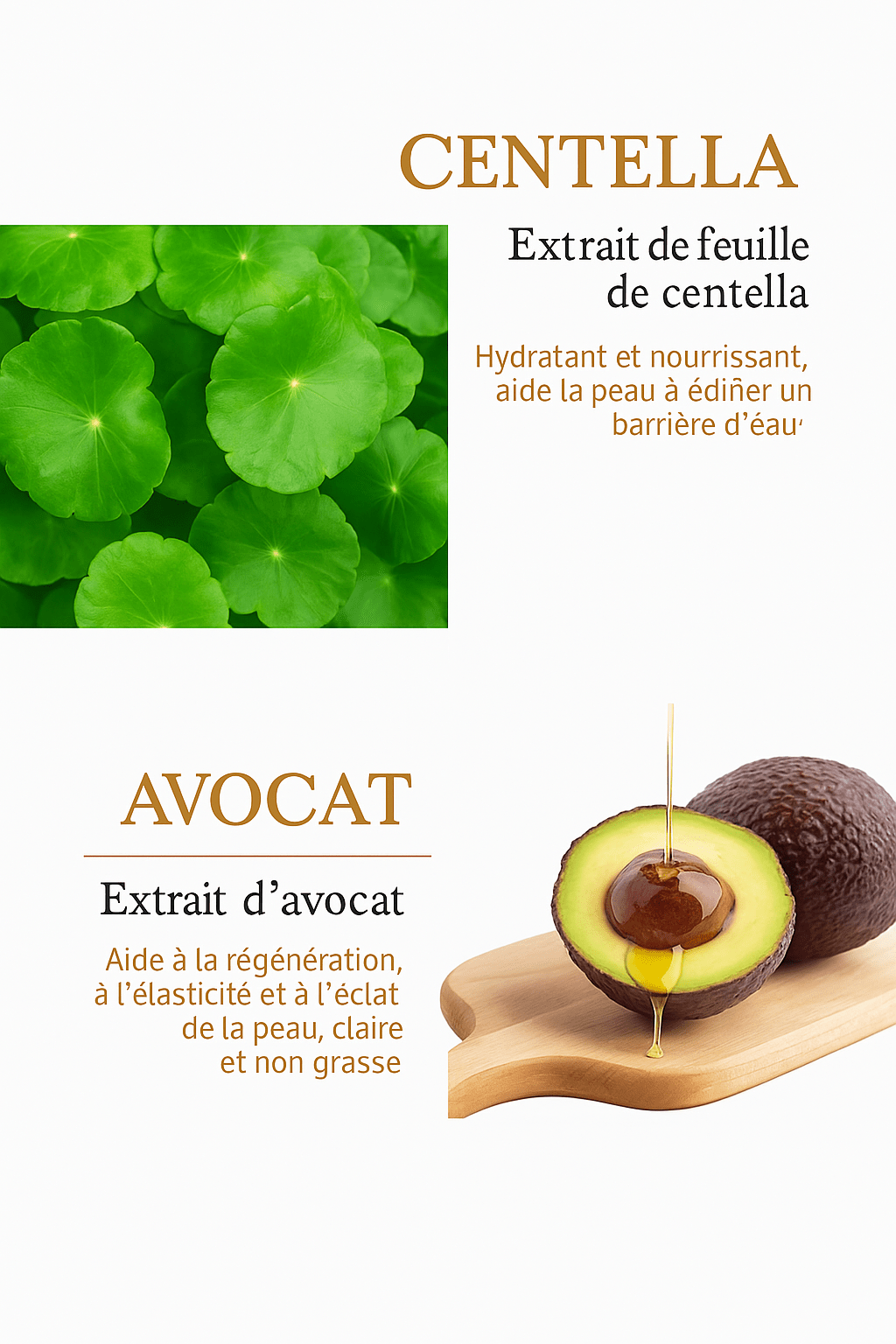 Patchs Yeux ZOZU ✨Or & Avocat🥑 – L’arme fatale anti - cernes (120 patchs) – Accessoire bien - être et maison tendance | MONDOBOX